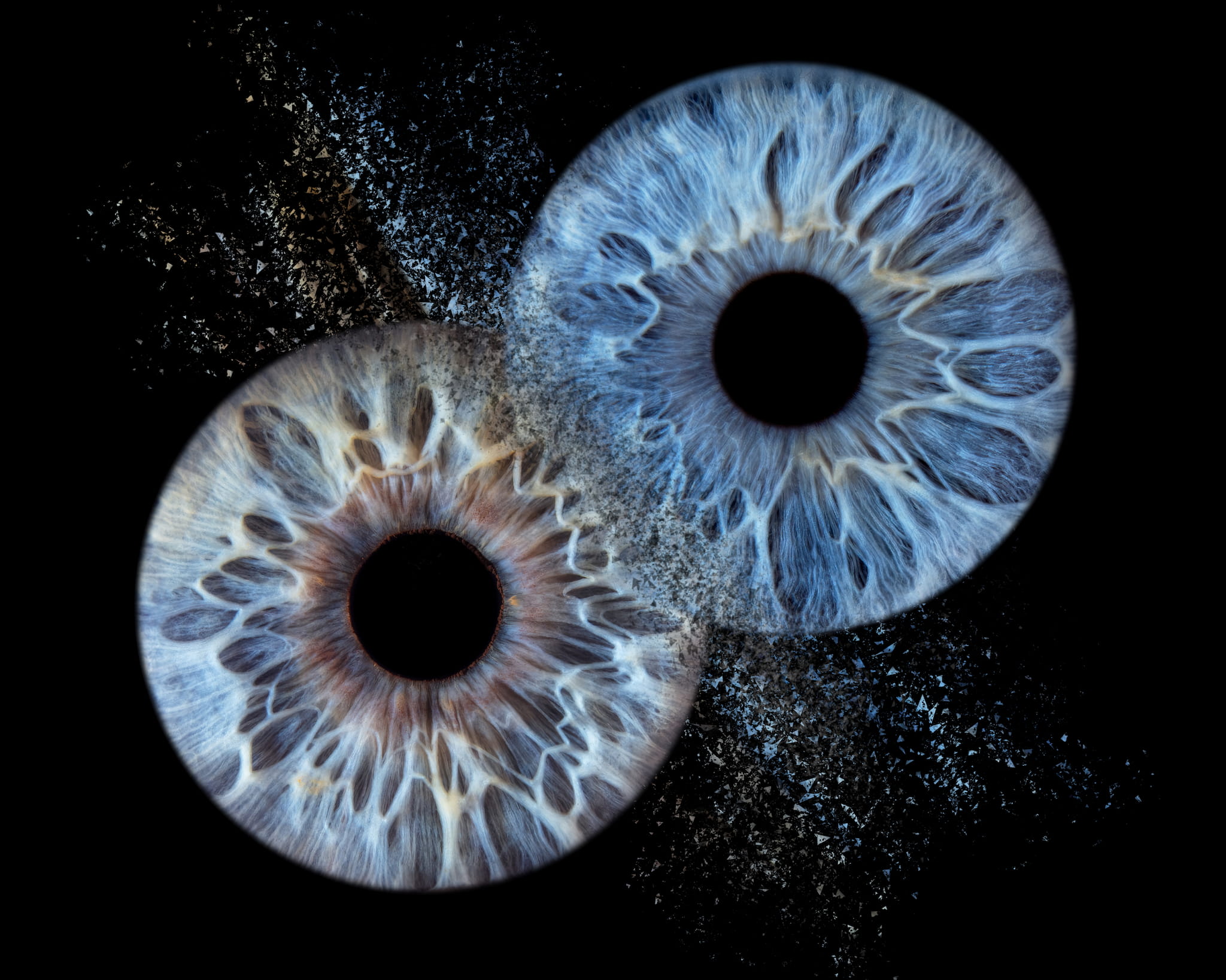Iris Photography